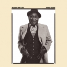 muddy_waters-hard_again